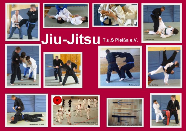 Jiu-Jitsu T.u.S Pleißa e.V.